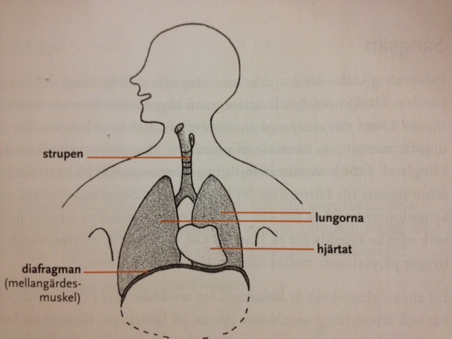 Andning och stöd.JPG